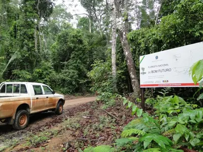 PF deflagra combate à ocupação ilegal de terras em Rondônia